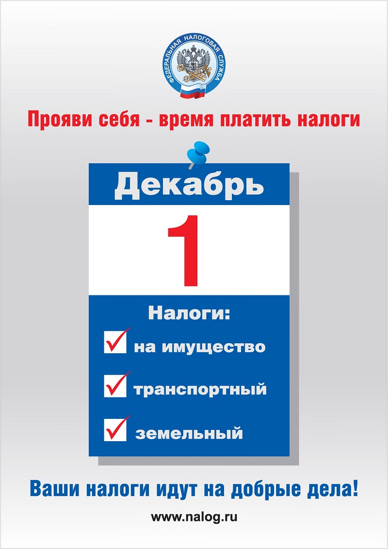 nalogovay 2020 А3.jpg